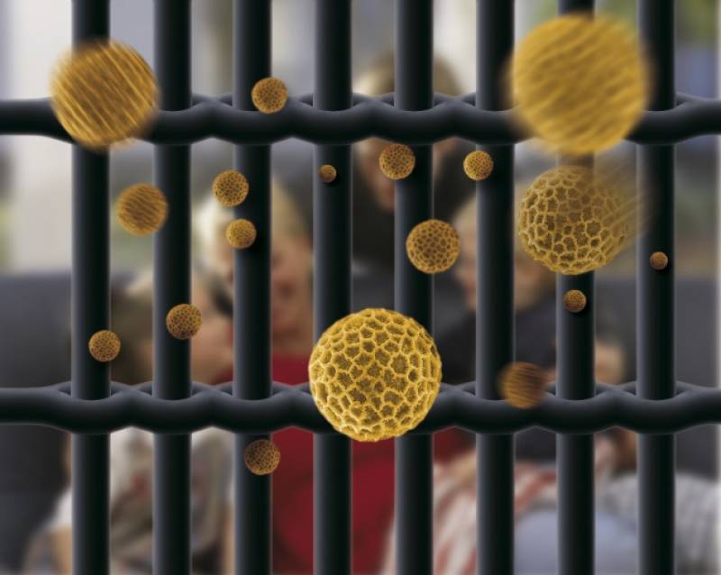 Moustiquaire avec toile Polltec Béthune