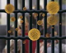 Nos prestations sur le secteur de à Saint-Omer 62500